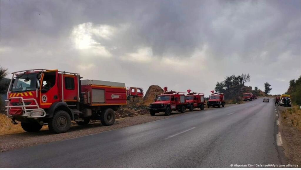 image for Incendios forestales dejan 26 muertos en Argelia