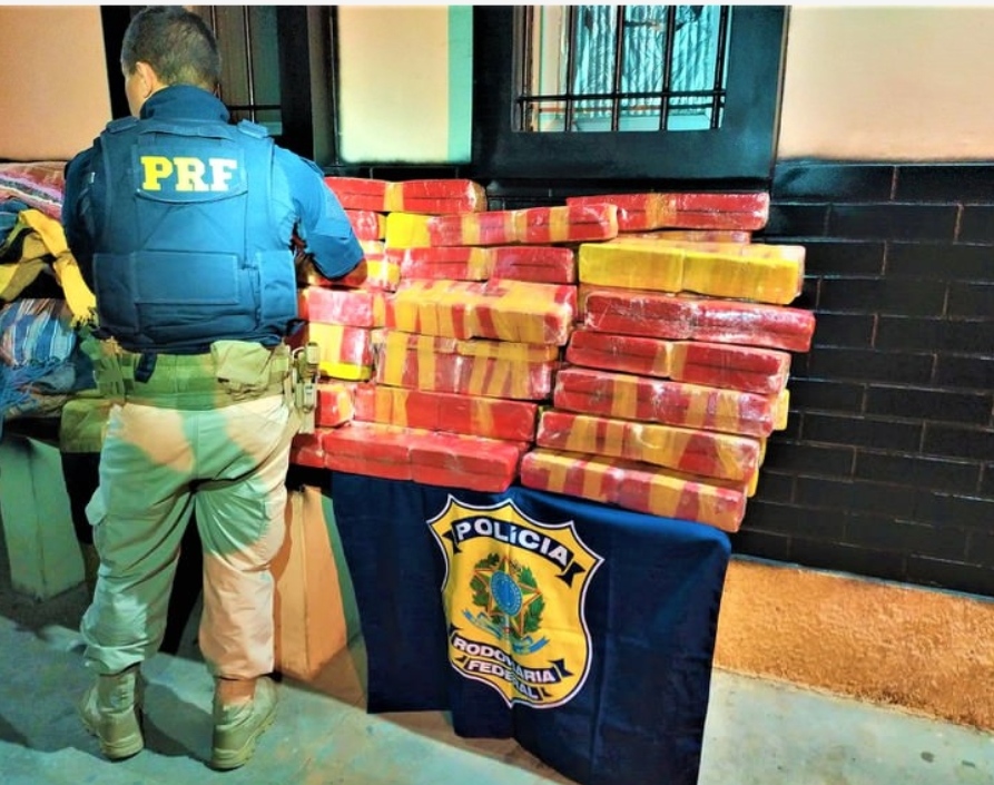Mais de 200 kg de maconha são apreendidos em Brumado image for Mais de 200 kg de maconha são apreendidos em Brumado