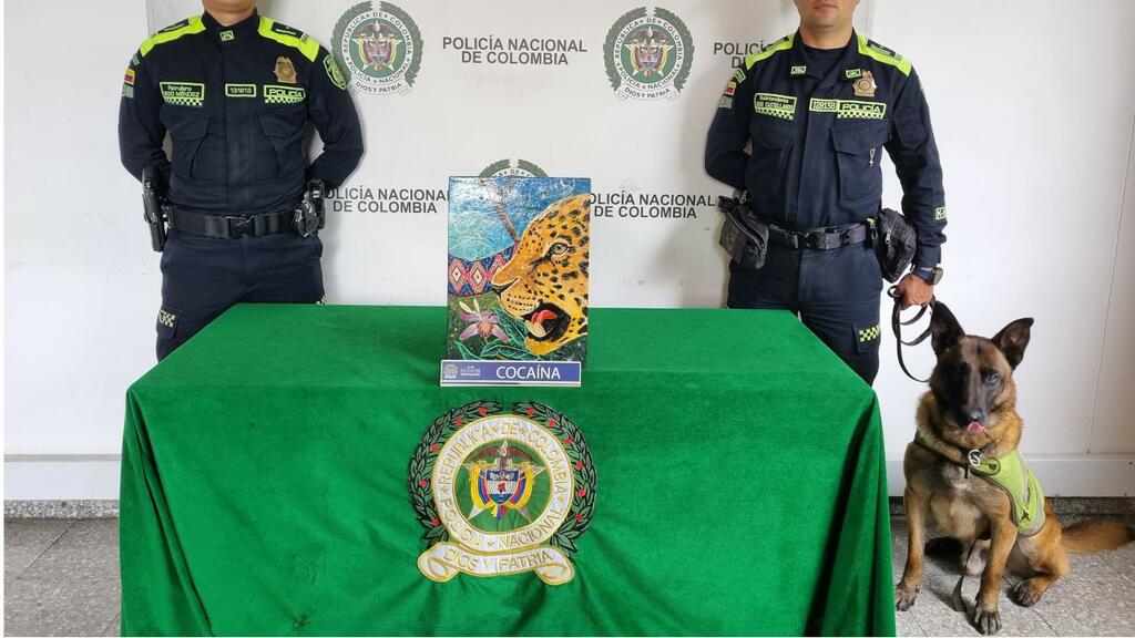 image for Incautaron cocaina en el aeropuerto el dorado oculta en una obra de arte