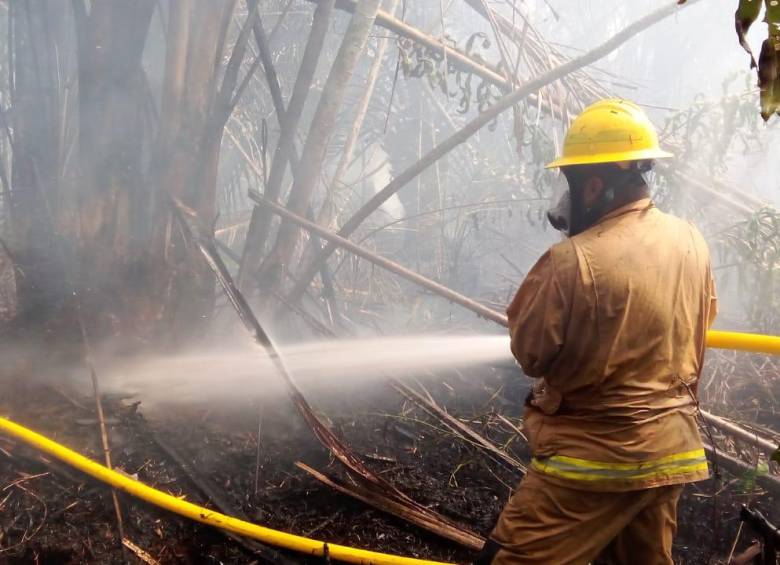 image for Incendio del tamaño de Itagui arraso parte de la selva del Darien colombiano