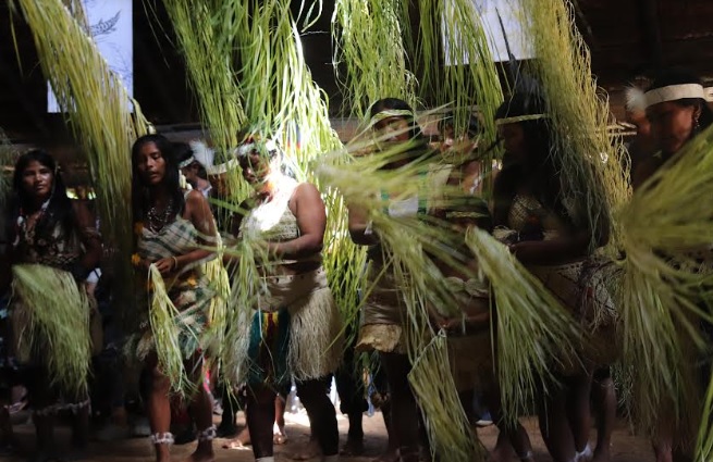 image for Lenguas indígenas de la Amazonia colombiana en alto riesgo 