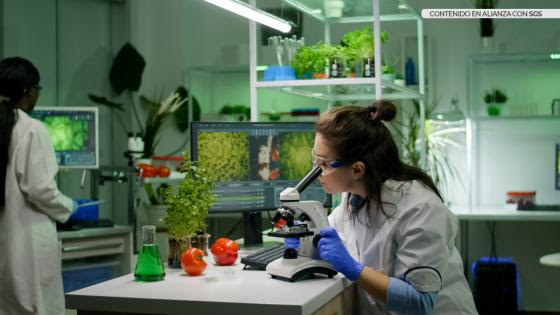 image for Herramientas para la agricultura colombiana
