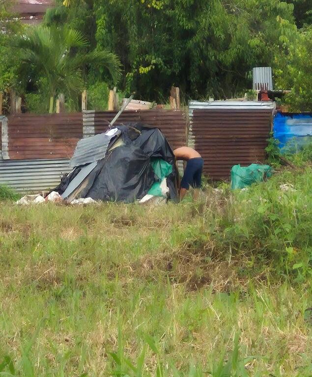 image for Crece la inseguridad en inmediaciones del Coliseo Municipal