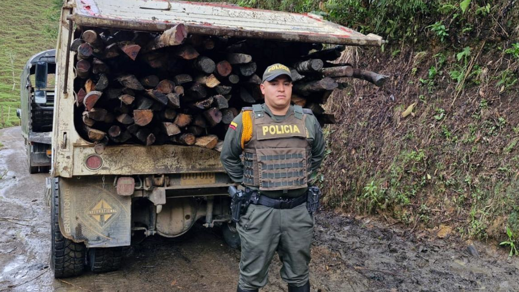 image for Incautan madera ilegal y recuperan motocicleta robada en Antioquia