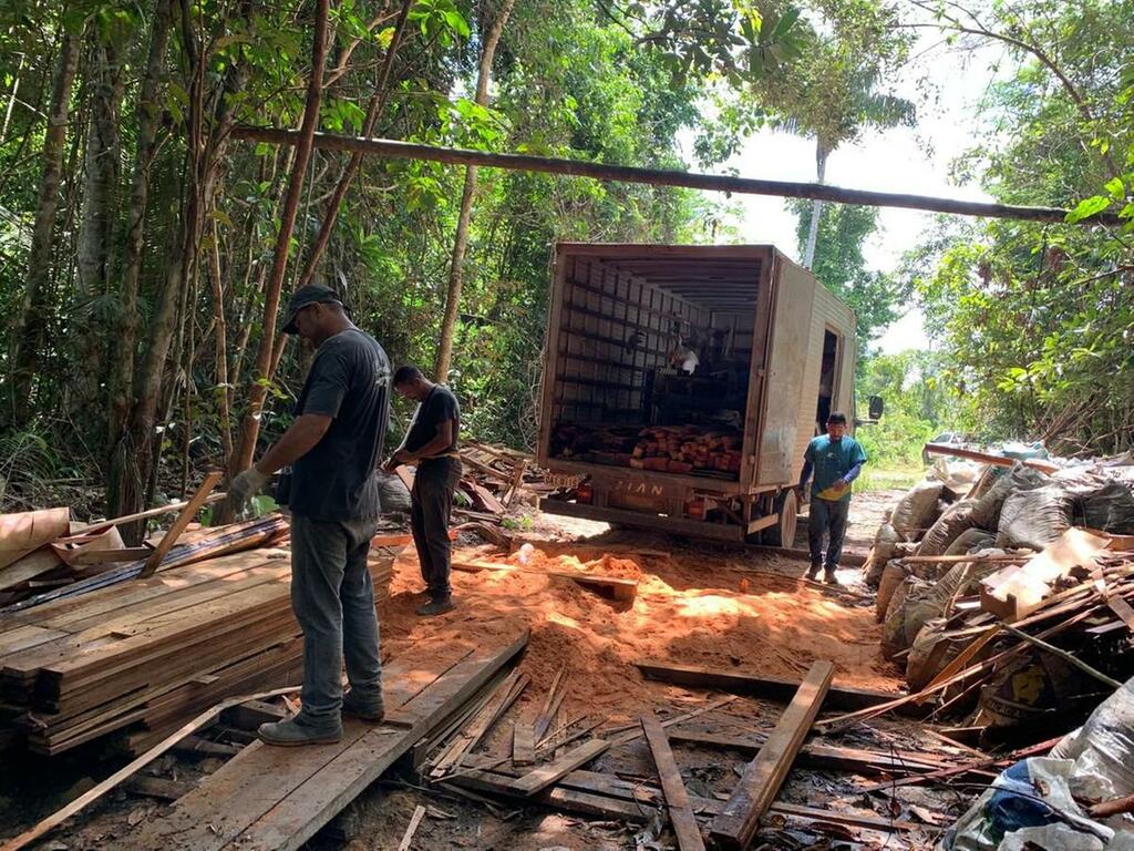 image for Ipaam apreende madeira e destroi fornos de fabricação de carvão ilegal