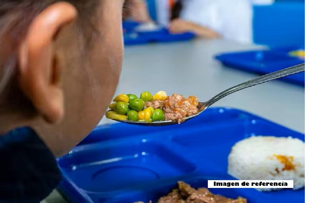 image for Contraloría determinó hallazgos fiscales en ejecución del PAE