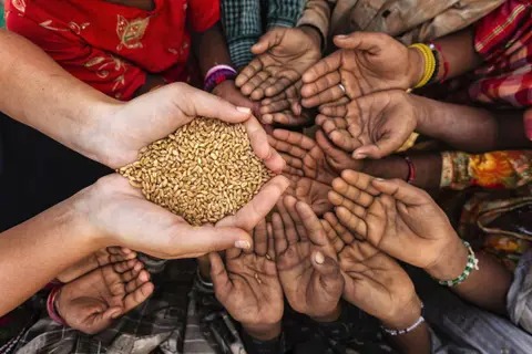 FAO dice que la pandemia fue "una bomba atómica en materia de hambre image for FAO dice que la pandemia fue "una bomba atómica en materia de hambre