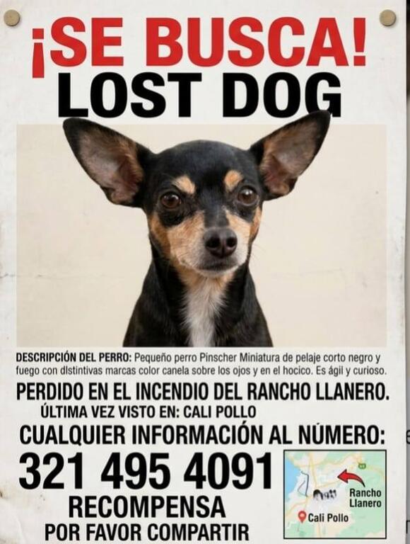 image for Familia busca Lucas en sectores de Leticia