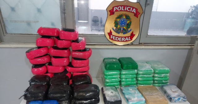 Mais de 65 quilos de drogas são apreendidos durante operação Hórus image for Mais de 65 quilos de drogas são apreendidos durante operação Hórus