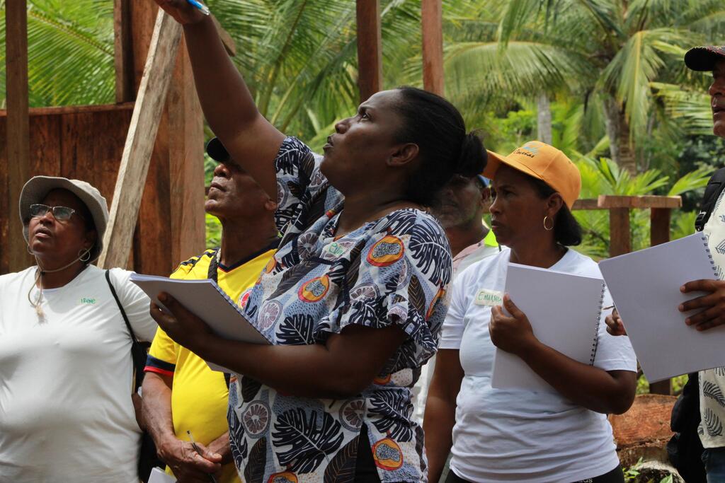 image for Ciencia que mejora procesos productivos en Chocó
