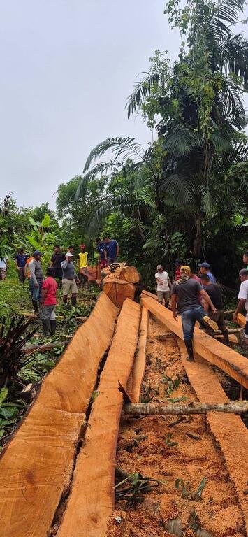 image for Comunidad de Ticoya se une para salvar su puente peatonal