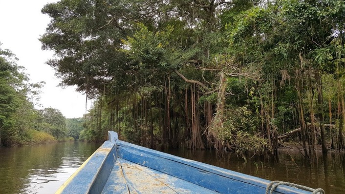 image for Amazonas una región de diversidad sonora