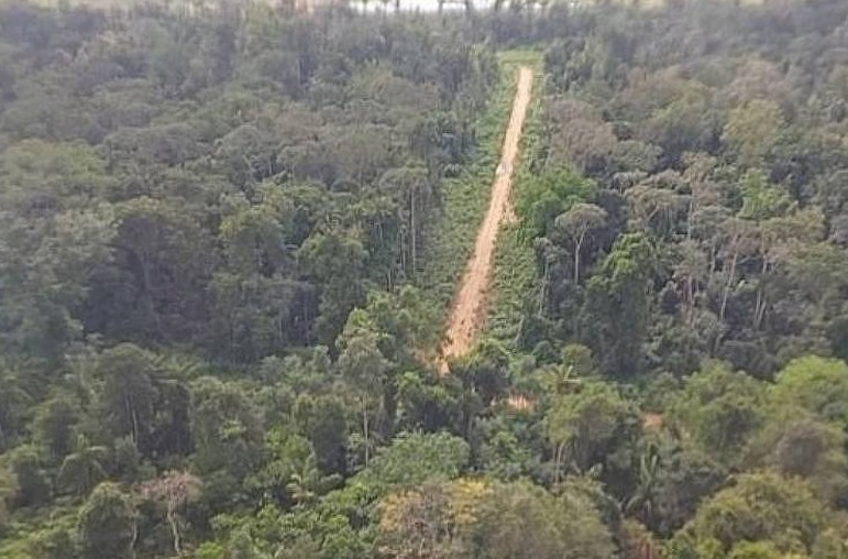 MT tem maior número de pistas de pouso clandestinas image for MT tem maior número de pistas de pouso clandestinas