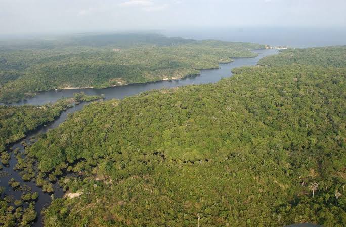 Refuerzan monitoreo ambiental y social en la Amazonía colombiana image for Refuerzan monitoreo ambiental y social en la Amazonía colombiana
