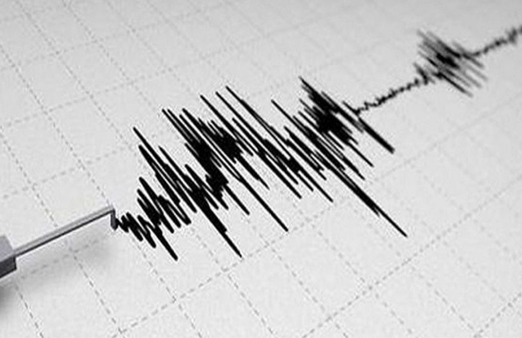 El terremoto se registro en la tarde del miercoles cerca de Nueva Caledonia Imagen de un resultado de un sismografo despues de un sismo