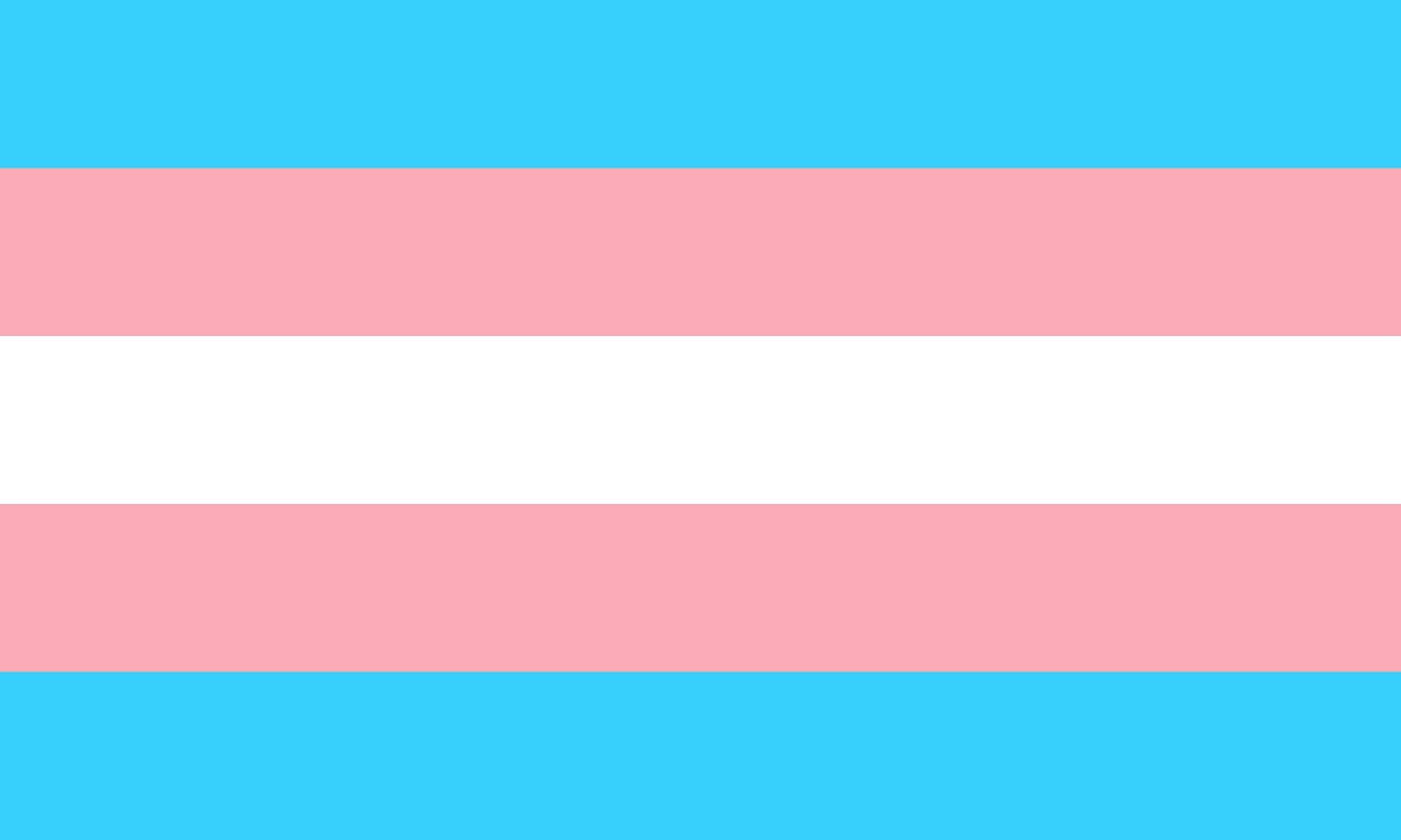 Bandera de tres colores
