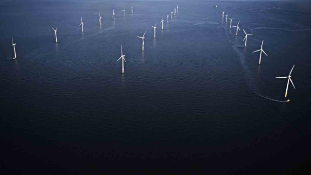 image for Parque eólico más grande del mundo entra en funcionamiento