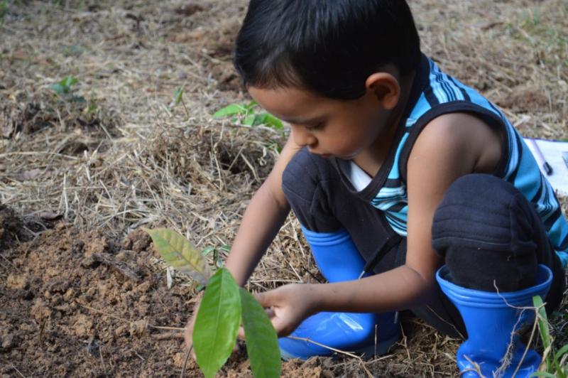 Con reforestación FAC celebra el Día Mundial del medio ambiente en el Amazonas