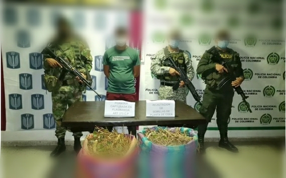 GOLPE AL PRIMER ESLABÓN DEL NARCOTRÁFICO EN EL SURORIENTE COLOMBIANO 