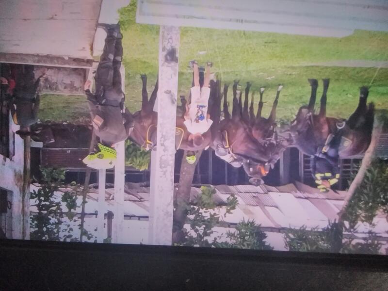 La Policía Nacional fortalece su presencia en Leticia durante el puente festivo con patrullajes montados