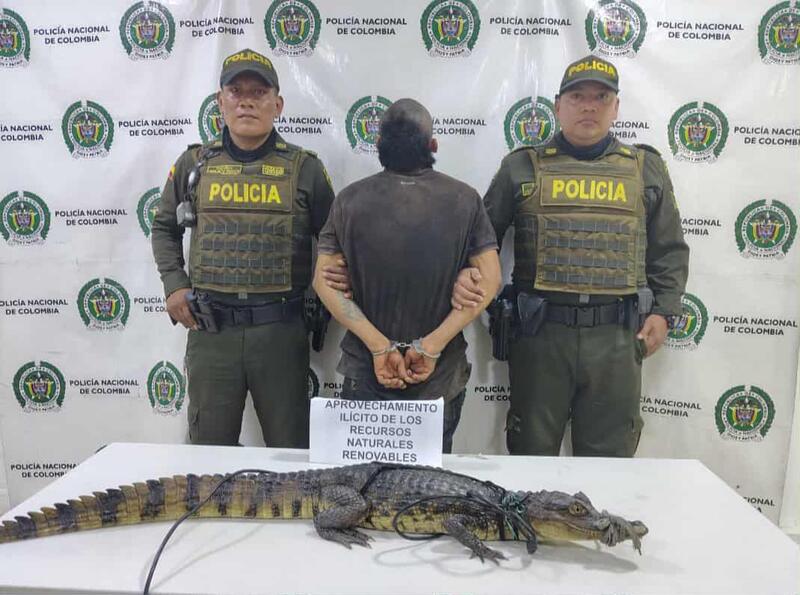 Una acción contundente de la Policía Nacional  en defensa de los recursos naturales en el Amazonas
