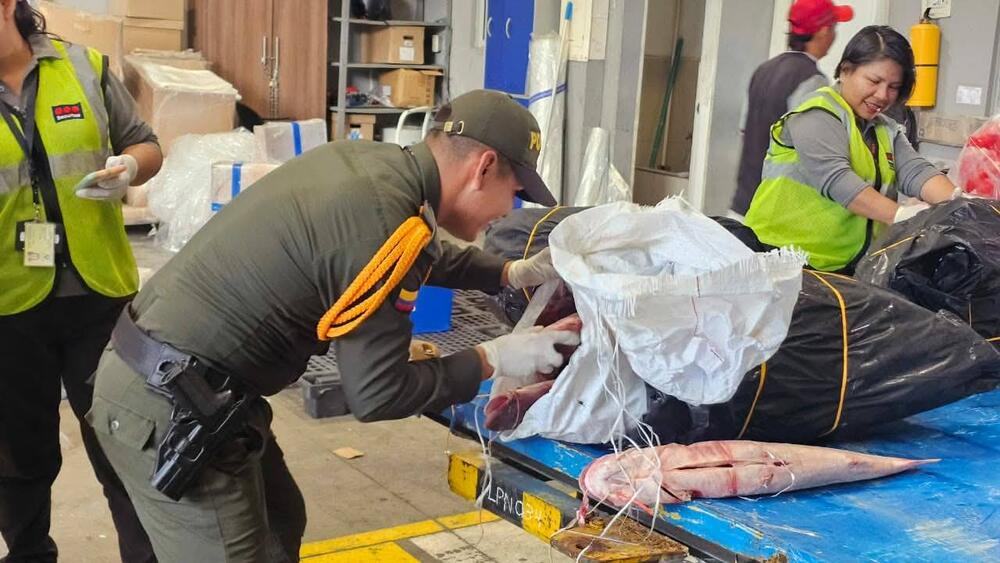 La Policía Nacional refuerza controles en el Aeropuerto Alfredo Vásquez Cobo de Leticia