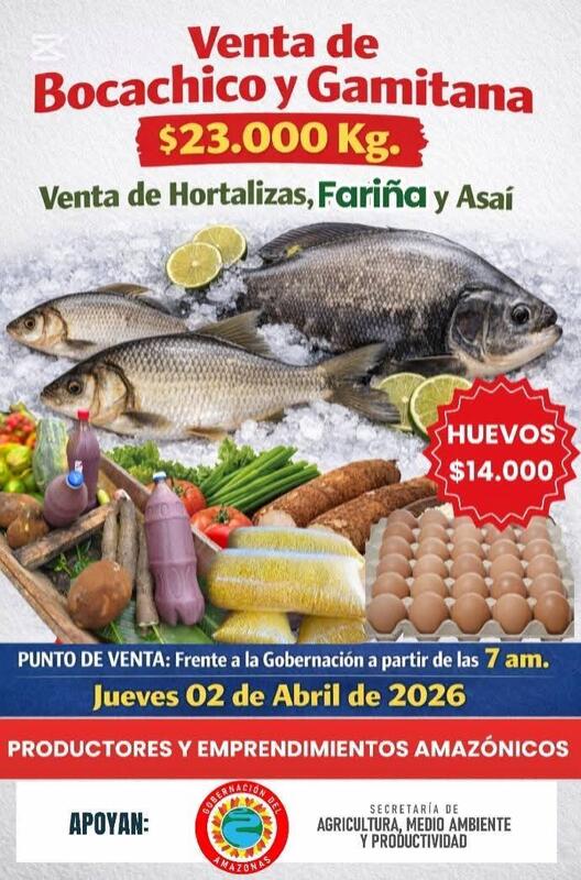 La Secretaría de Agricultura, Medio Ambiente y Productividad impulsa jornada de comercialización de ciclo corto en apoyo a productores amazónicos La Secretaría de Agricultura, Medio Ambiente y Productividad impulsa jornada de comercialización de ciclo corto en apoyo a productores amazónicos
