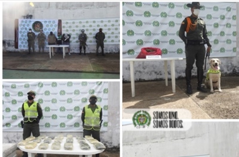 CAPTURAS E INCAUTACIONES DE DROGA FUERON LOS RESULTADOS OPERATIVOS MÁS DESTACADOS CAPTURAS E INCAUTACIONES DE DROGA FUERON LOS RESULTADOS OPERATIVOS MÁS DESTACADOS