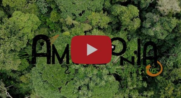 Escucha el primer capítulo de ‘Amazonía, selva adentro’, un proyecto para reflexionar sobre la deforestación