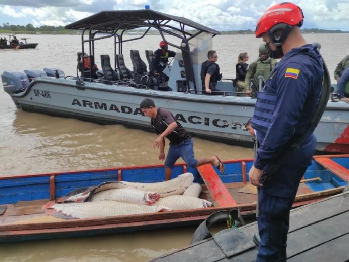 CAPTURADOS TRES SUJETOS POR ATENTAR CONTRA LA BIODIVERSIDAD Y SEGURIDAD EN LA AMAZONÍA.