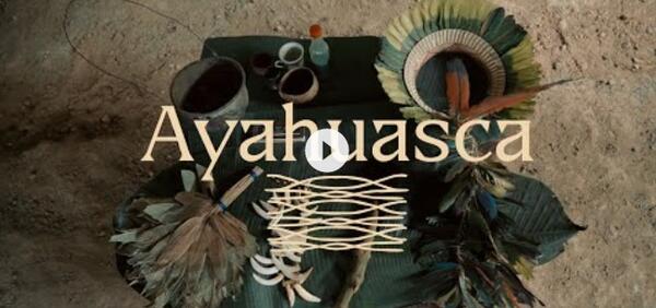 Ayahuasca - Plantas de Poder