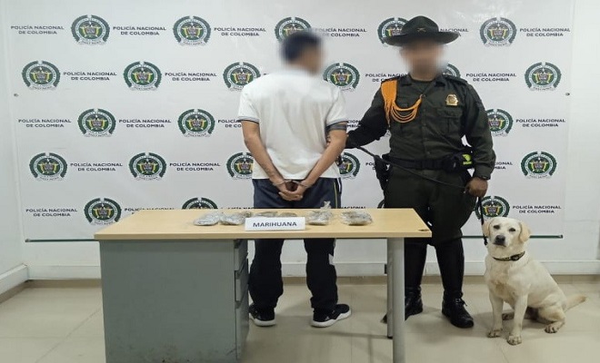 BINOMIO CANINO, CAPTURÓ A SUJETO QUE TRANSPORTABA 476 GRAMOS DE MARIHUANA CREEPY BINOMIO CANINO, CAPTURÓ A SUJETO QUE TRANSPORTABA 476 GRAMOS DE MARIHUANA CREEPY