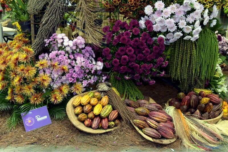 Colombia Exótica: una fiesta de Flores, Frutas y Artesanías que celebra la cultura y la creatividad.