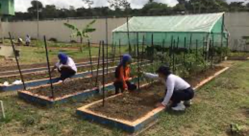 Penitenciária Feminina de Manaus (PFM) participaram do Curso de Jardinagem