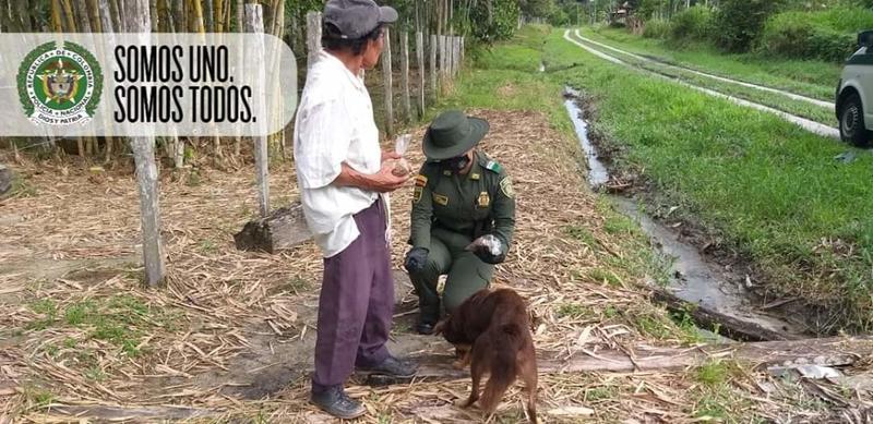 EL GRUPO DE PROTECCIÓN AMBIENTAL Y ECOLÓGICA PATRULLA LAS CALLES DE LETICIA EN BENEFICIO DE LOS ANIMALES DURANTE COVID19 EL GRUPO DE PROTECCIÓN AMBIENTAL Y ECOLÓGICA PATRULLA LAS CALLES DE LETICIA EN BENEFICIO DE LOS ANIMALES DURANTE COVID19