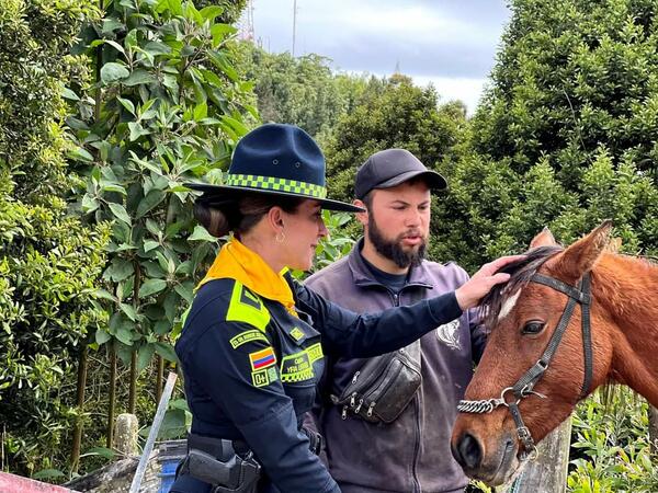 Los cabalLos son animales nobles, inteligentes y sensibles, que
