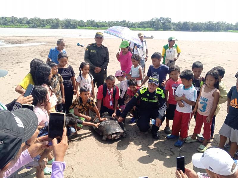 Protegiendo la vida silvestre del amazonas 