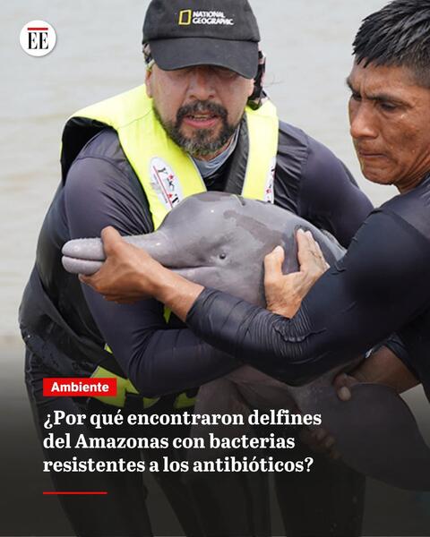 ¿Qué está ocurriendo con el río Amazonas? Esto es lo que nos está diciendo el mayor río del planeta