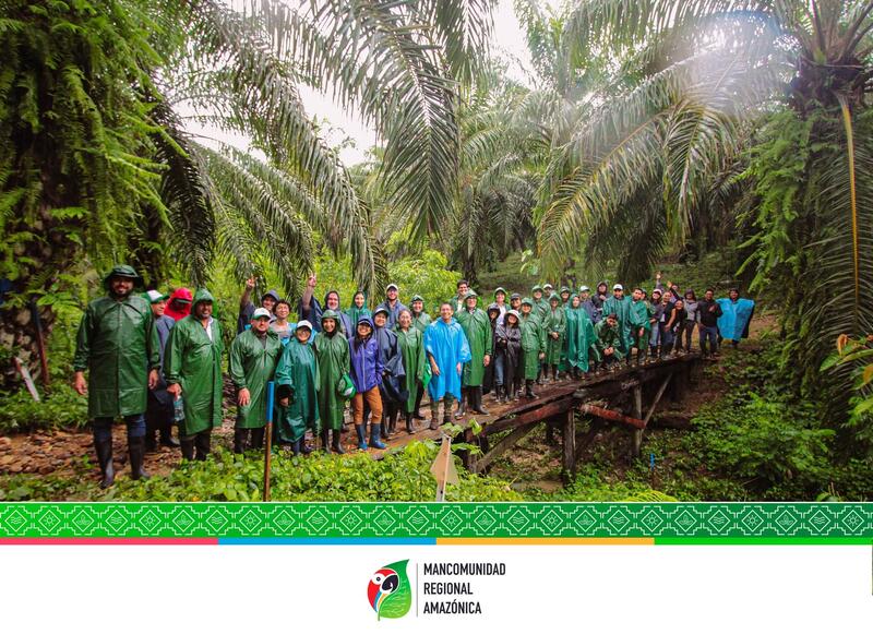 Manejo regenerativo de palma aceitera: un modelo inspirador desde la finca de doña Rosario en el corazón de la Amazonía peruana Manejo regenerativo de palma aceitera: un modelo inspirador desde la finca de doña Rosario en el corazón de la Amazonía peruana