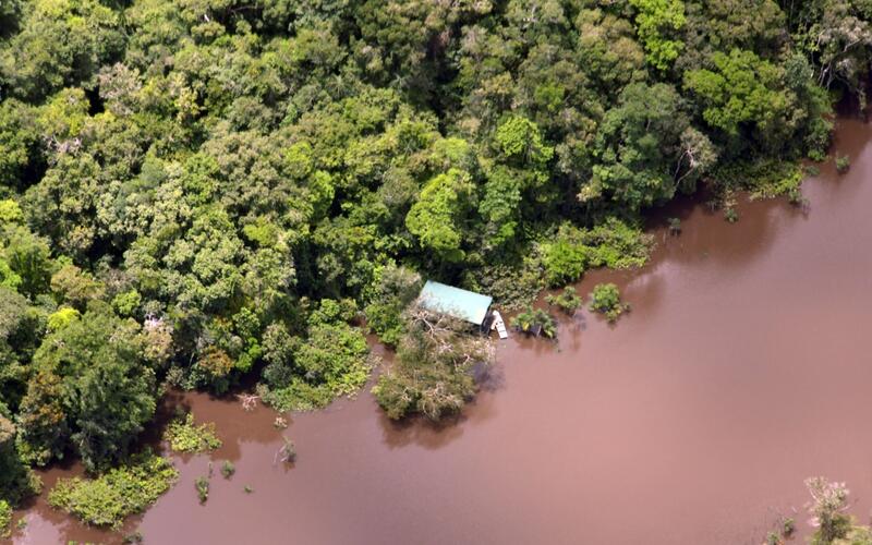 Fuerzas Militares y de Policía detienen daño ambiental en Amazonas