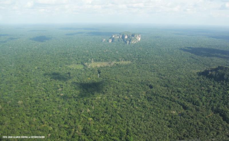 Imagenes de selvas colombianas