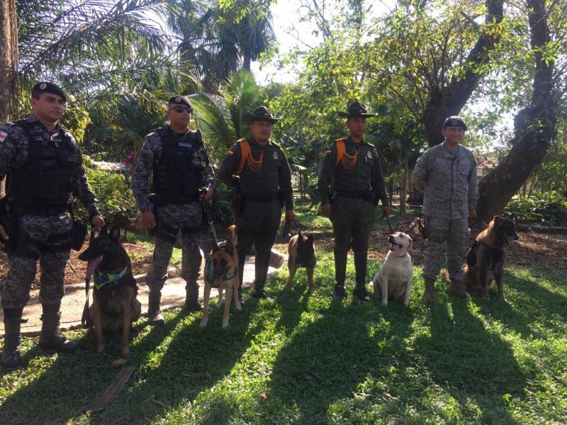 Canino de la FAC participa en festival internacional en el Amazonas