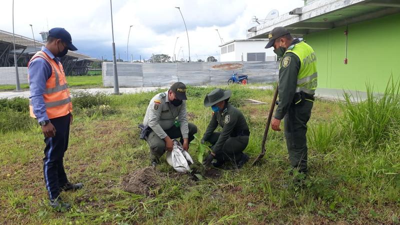 DURANTE LA CRISIS DEL COVID-19 CONMEMORAMOS EL DÍA MUNDIAL DE LA TIERRA, BUSCANDO APROVECHAR EL INCREMENTO Y LA CALIDAD AMBIENTAL DURANTE LA CRISIS DEL COVID-19 CONMEMORAMOS EL DÍA MUNDIAL DE LA TIERRA, BUSCANDO APROVECHAR EL INCREMENTO Y LA CALIDAD AMBIENTAL