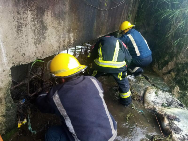 Mantenimiento de rejilla aguas lluvias 