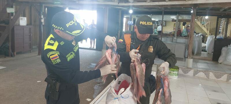 MÁS DE 3 TONELADAS DE PESCADO DE LA ESPECIE MOTA, FUERON HALLADOS EN OPERATIVO DE LA POLICÍA EN AMAZONAS