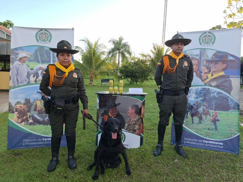 AUTORIDADES INCAUTAN MARIHUANA EN EL AEROPUERTO DE LETICIA 