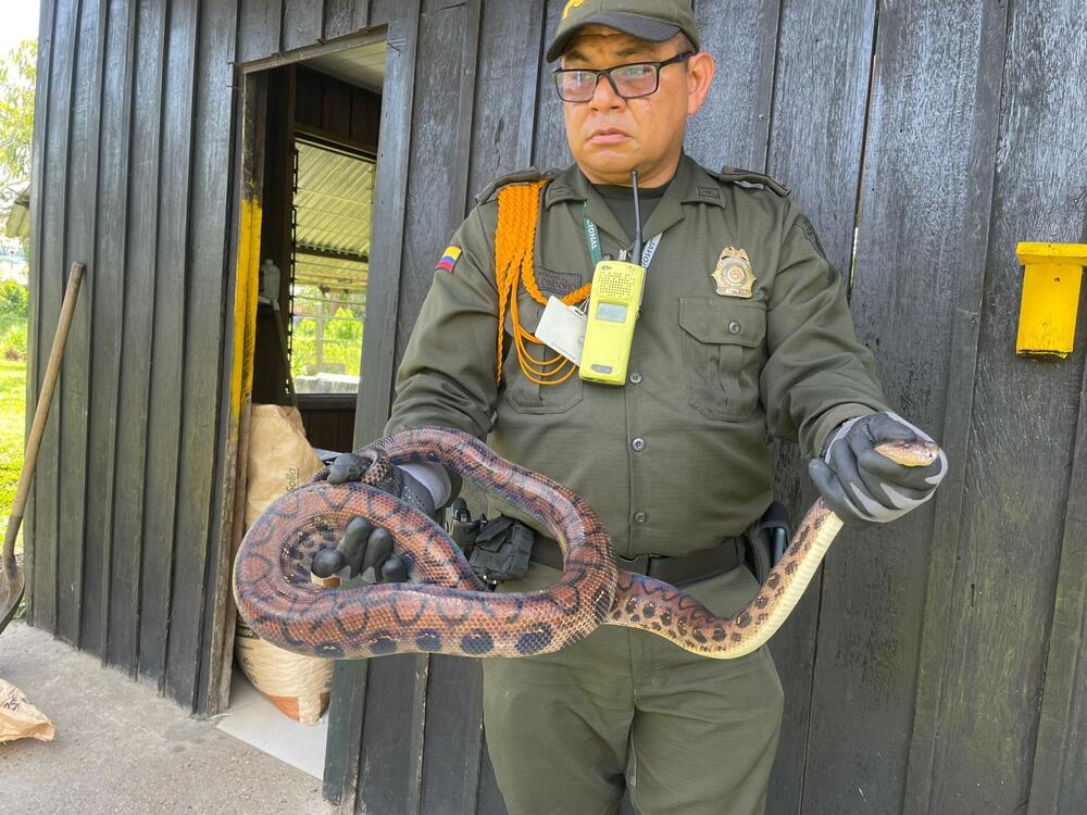 Policía Nacional refuerza acciones para la protección del medio ambiente en el Amazonas Policía Nacional refuerza acciones para la protección del medio ambiente en el Amazonas