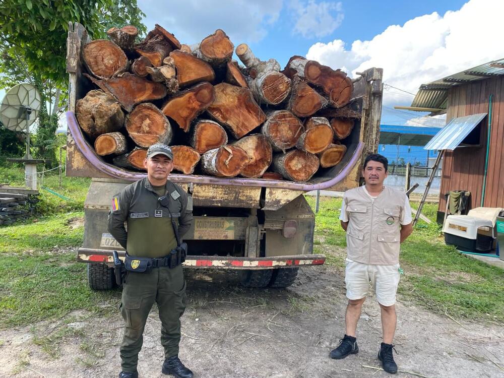 Incautación de madera ilegal en el Amazonas fortalece la protección del medio ambiente