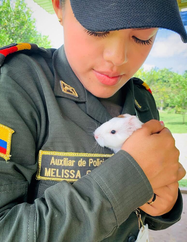 Policía Nacional conmemora el Día Mundial del Medio Ambiente con acciones para la protección del patrimonio natural del Amazonas Policía Nacional conmemora el Día Mundial del Medio Ambiente con acciones para la protección del patrimonio natural del Amazonas
