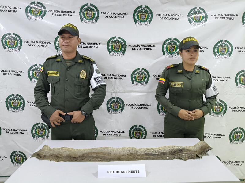 Protección ambiental 